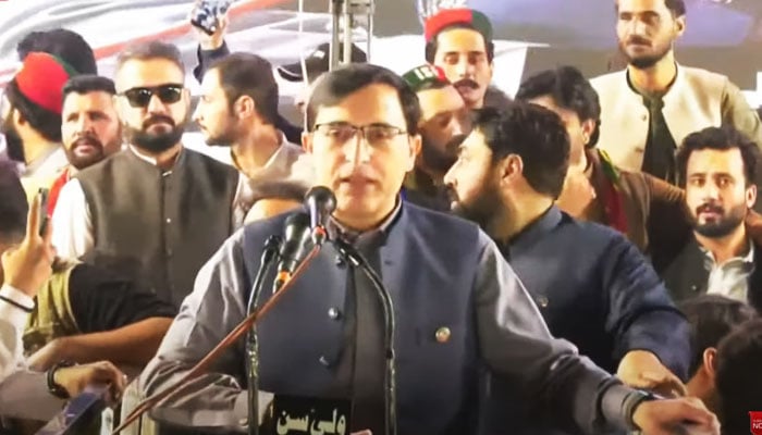 PTI Chairman Barrister Gohar Ali Khan addresses public gathering in KPs Swabi on November 9, 2024. — YouTube/GeoNews/screengrab