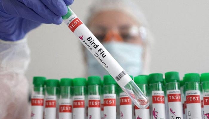 A person holds a test tube labelled Bird Flu, in this picture illustration, January 14, 2023. — Reuters