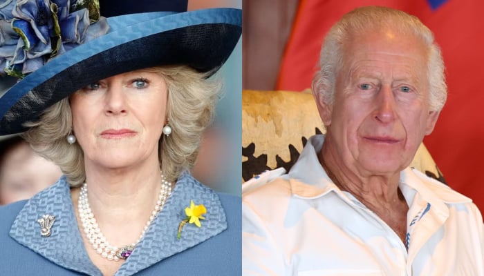 King Charles finds comforting replacement amid Queen Camilla health woes