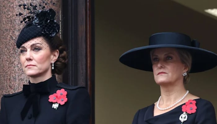 Kate Middleton takes on key role at Remembrance Sunday in Queens absence