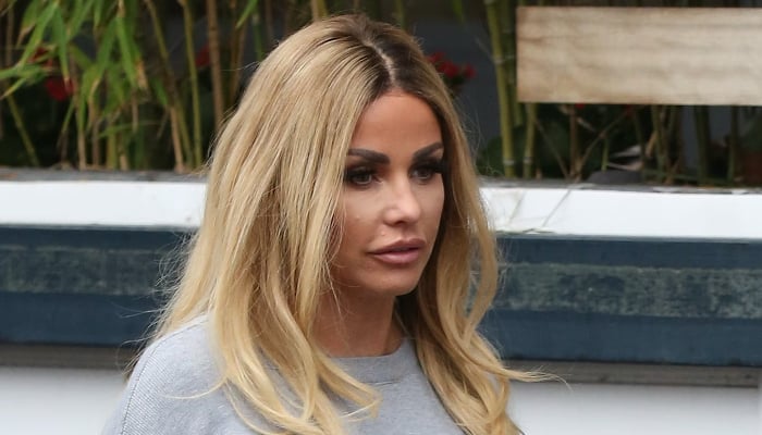 Katie Price shocks fans after revealing her wish of having more children