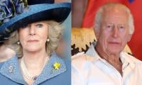 King Charles Finds Comforting Replacement Amid Queen Camilla's Health Woes