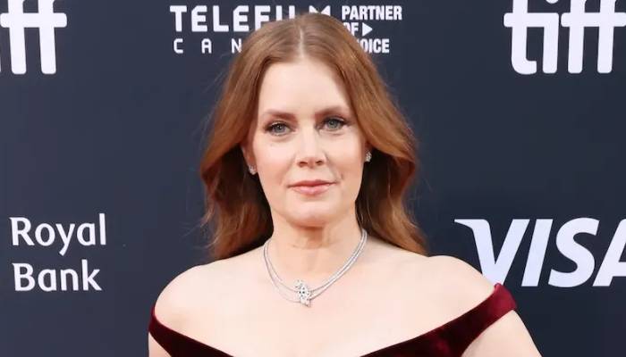 Heres why Amy Adams declined performing a song for SNL