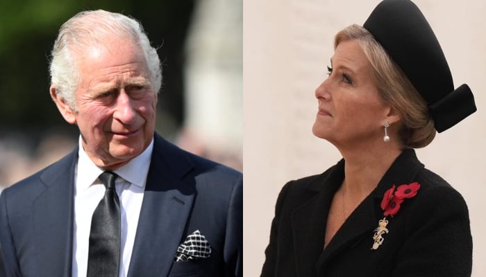 King Charles gives big responsibility to Duchess Sophie as Camilla falls ill