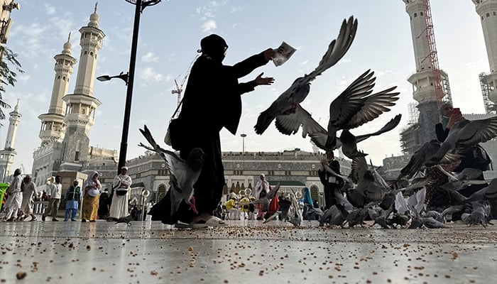 A Muslim woman feeds pigeons at the Grand Mosque, ahead of the annual haj pilgrimage, in Mecca, Saudi Arabia, June 9, 2024. — Reuters