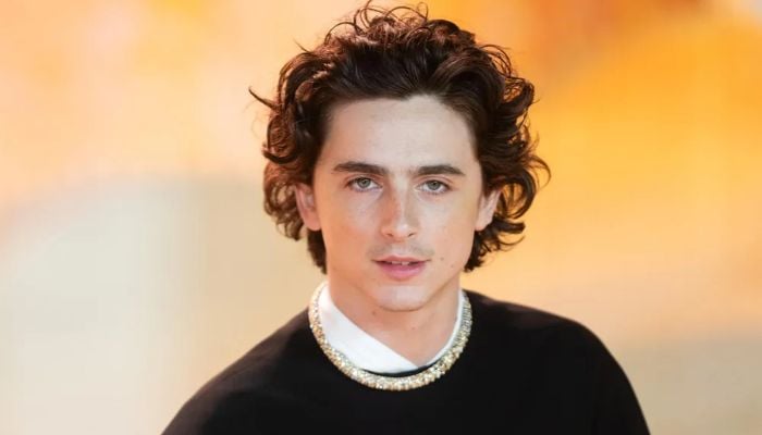 Timothée Chalamet followed the helpful advice he received from his mentor.