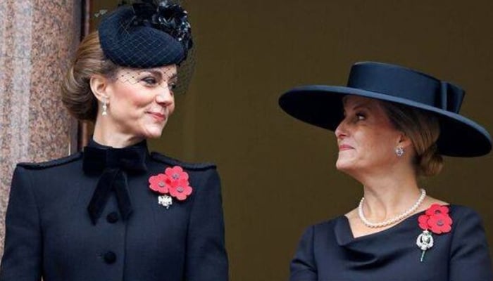 Duchess Sophie sends uplifting message to Kate Middleton: well done