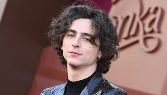 Timothée Chalamet was told to gain weight to get more roles.