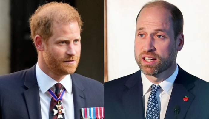 Prince Harry achieves major milestone for project close to William’s heart