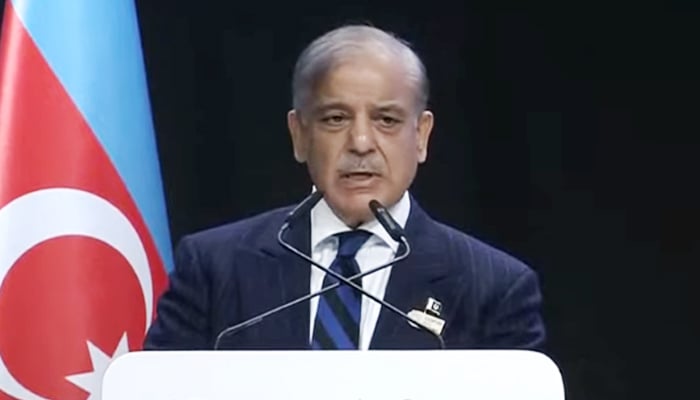 PM Shehbaz Sharif addresses COP29 Climate Action Summit in Baku, Azerbaijan on November 13, 2024. — Screengrab via Geo News