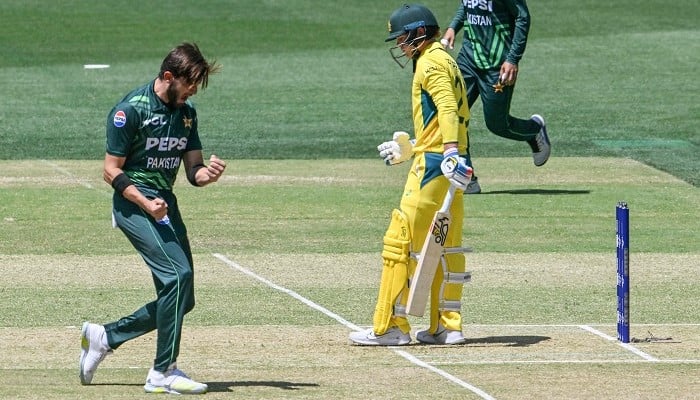 Shaheen Afridi celebrates taking the wicket of Jake Fraser-McGurk (right) at Adelaide Oval on November 8, 2024. — AFP