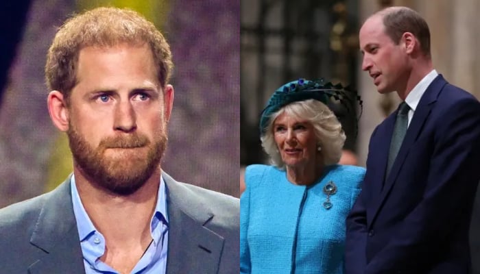 Prince Harry reduced to tears by Queen Camilla, William’s new decision