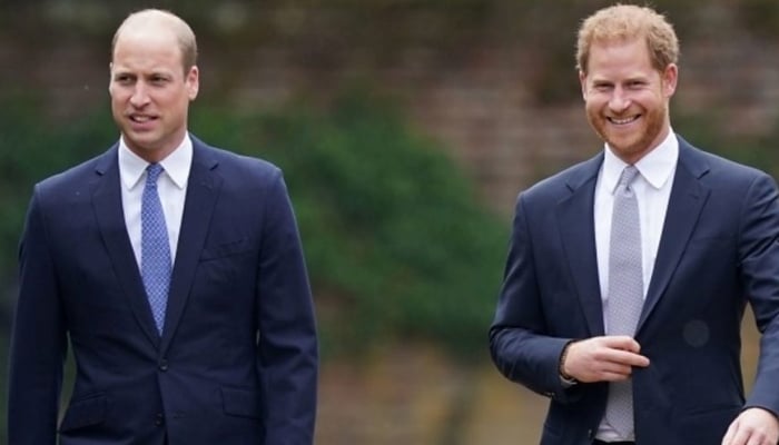 Why Prince Harry is perfect sounding board for Williams swaggery