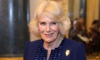 Queen Camilla Makes First Statement After Missing Key Royal Event