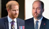 Prince Harry Achieves Major Milestone For Project Close To William’s Heart