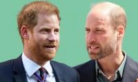  Harry's Climate Efforts Recognised As William's Misses Out Despite Earthshot 