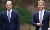 Why Prince Harry Is Perfect Sounding Board For William's 'swaggery'