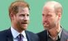  Harry's Climate efforts recognised as William's misses out despite Earthshot 