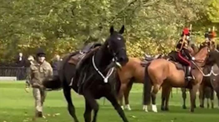 Royal rider thrown as horse bolts before King Charles’ birthday gun salute