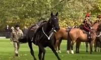 Royal Rider Thrown As Horse Bolts Before King Charles' Birthday Gun Salute