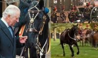 Royal Horse Creates Show In Green Park On King Charles Big Day