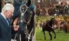 Royal horse creates show in Green Park on King Charles big day