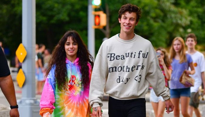 Shawn Mendes weighs in on his current equation with Camila Cabello