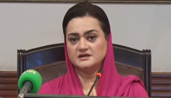 Punjabs Senior Minister for Information and Environment Protection Marriyum Aurangzeb addresses press conference on November 15, 2024 in this still taken from a video. — Geo News/YouTube Live