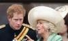 Prince Harry’s Royal role ‘reversed with Camilla’ after ‘pressing nuclear button’