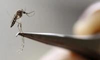 Over 400 Die In Bangladesh As Dengue Crisis Deepens