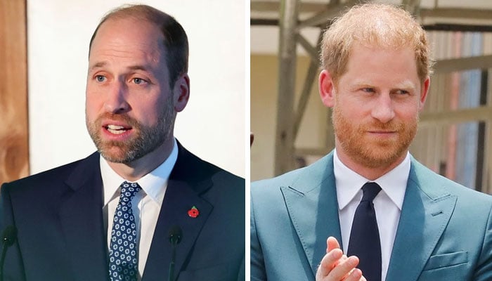 Prince William finally takes brother Prince Harry’s advice in major move