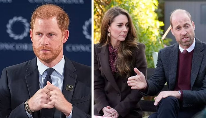 Prince Harry’s worst fears come true as William, Kate face dangerous threat