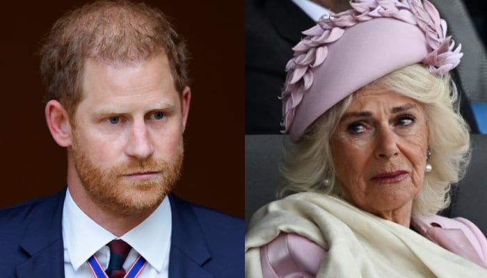 Prince Harry breaks silence as Queen Camilla suffers heartbreak