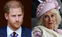 Prince Harry Makes Big Announcement As Queen Camilla Suffers Heartbreak