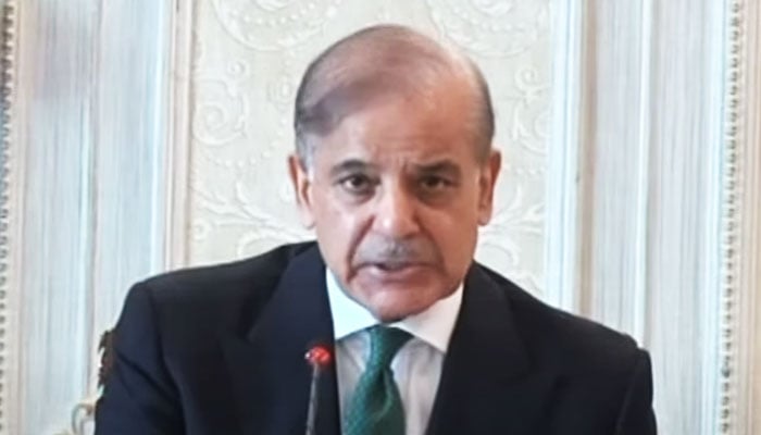 Prime Minister Shehbaz addresses National Action Plans apex committee on November 19, 2024. — YouTube/GeoNews/screengrab