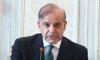 PM Shehbaz urges prioritising peace over sit-ins amid PTI 'final protest' call