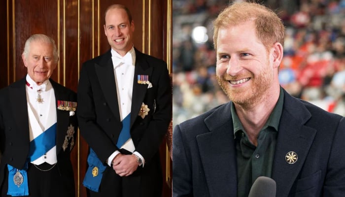 King Charles, Prince William join hands as Harry embarks on new venture