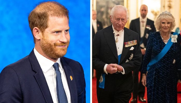 Prince Harry issues statement as Palace hosts major event for diplomats