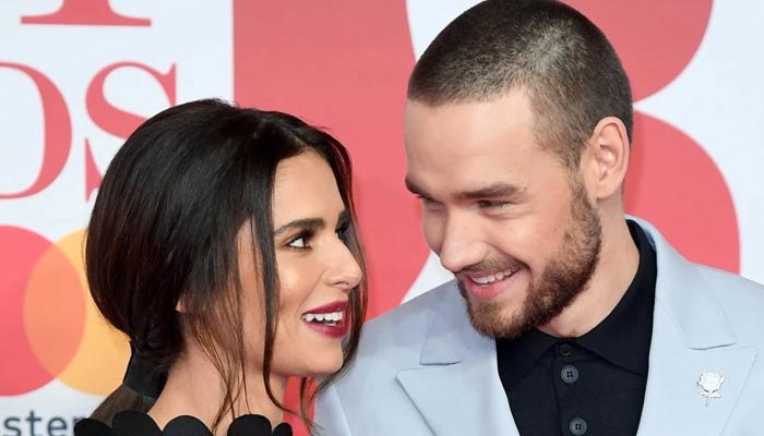 Liam Payne and Cheryl maintained unique parenting style despite their split