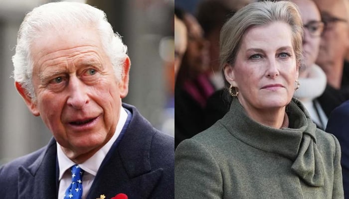 Duchess Sophie shares King Charles key message to mark sombre event