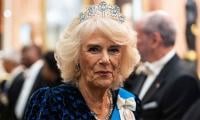 Queen Camilla Withdraws From Royal Variety Performance Amid Lingering Illness