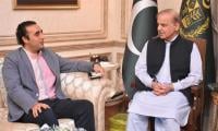 PM Shehbaz Constitutes Committee To 'resolve Issues' With PPP 