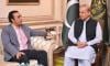 PM Shehbaz constitutes committee to 'resolve issues' with PPP 