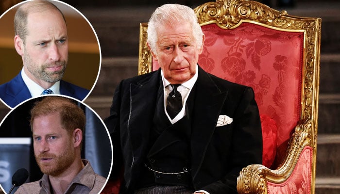 King Charles issues sad reminder to Princes William, Harry in new statement