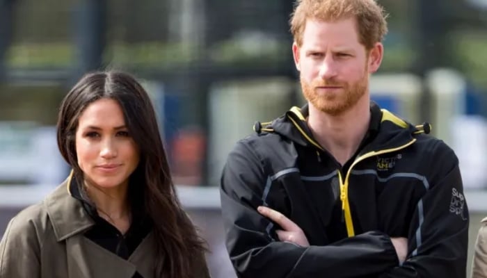 Meghan Markle and Prince Harry stepped down as senior royals in January 2020