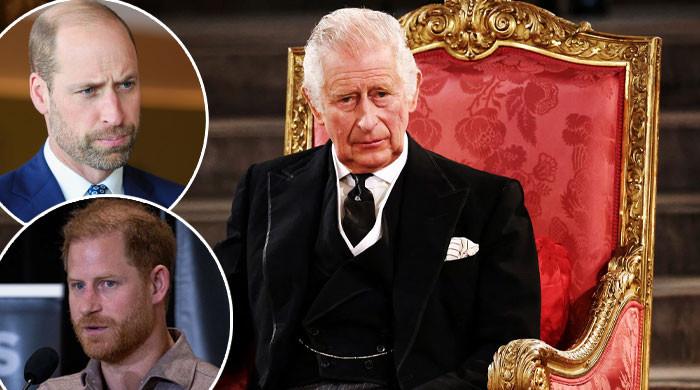 King Charles issues sad reminder to Princes William, Harry in new statement