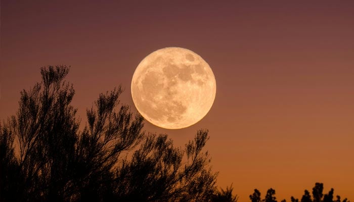 A representational image shows a moon in the sky. — Unsplash