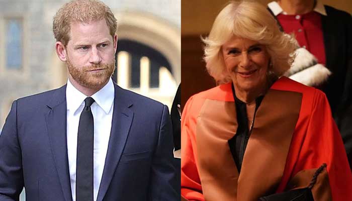 Prince Harry flayed for spewing venom against Queen Camilla