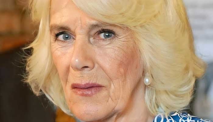 Queen Camilla releases emotional statement ahead of Prince Harry, Meghans new show