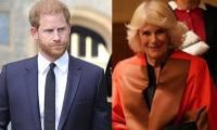 Prince Harry Flayed For Spewing Venom Against Queen Camilla